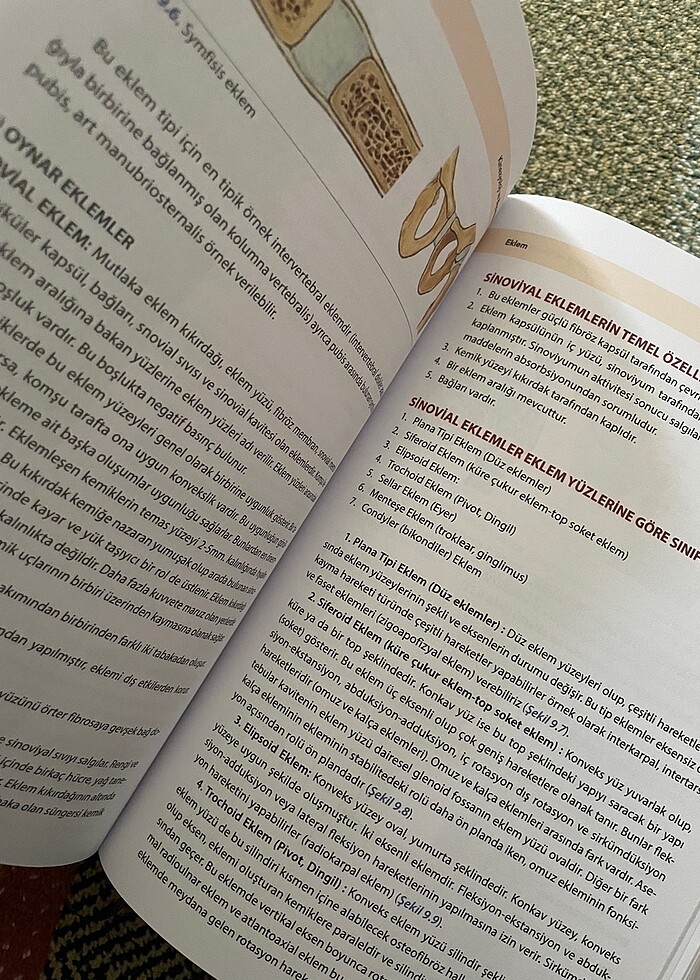 Kinezyoloji ve Biyomekanik - Görsel 2