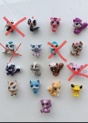Lps Yavru Orta Miniş 