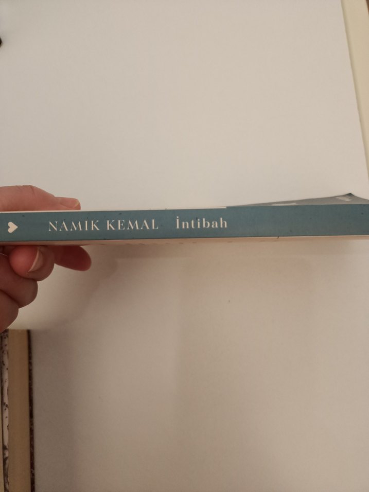 Namık Kemal - İntibah Romanı - Görsel 2