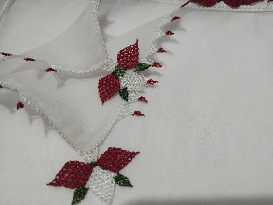 beyaz iğne oyası yazma - Görsel 2