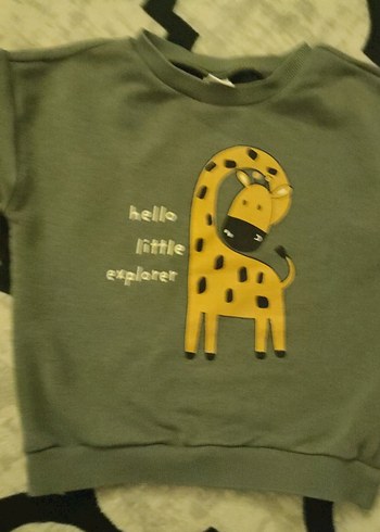 Erkek Çocuk Renkli Baskılı Sweatshirt
3 adet  fiyatı 200 - Görsel 4