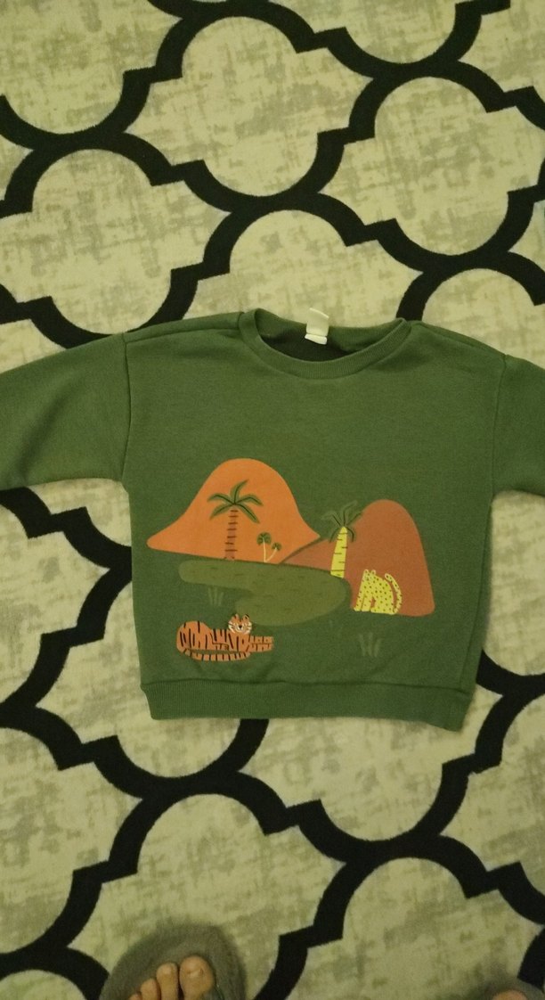 Erkek Çocuk Renkli Baskılı Sweatshirt
3 adet  fiyatı 200 - Görsel 2