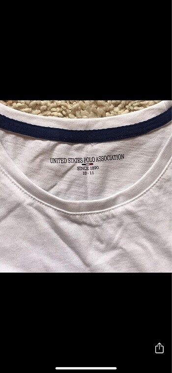 U.S Polo Assn. Bisiklet yaka orjinal çocuk sweatshirt