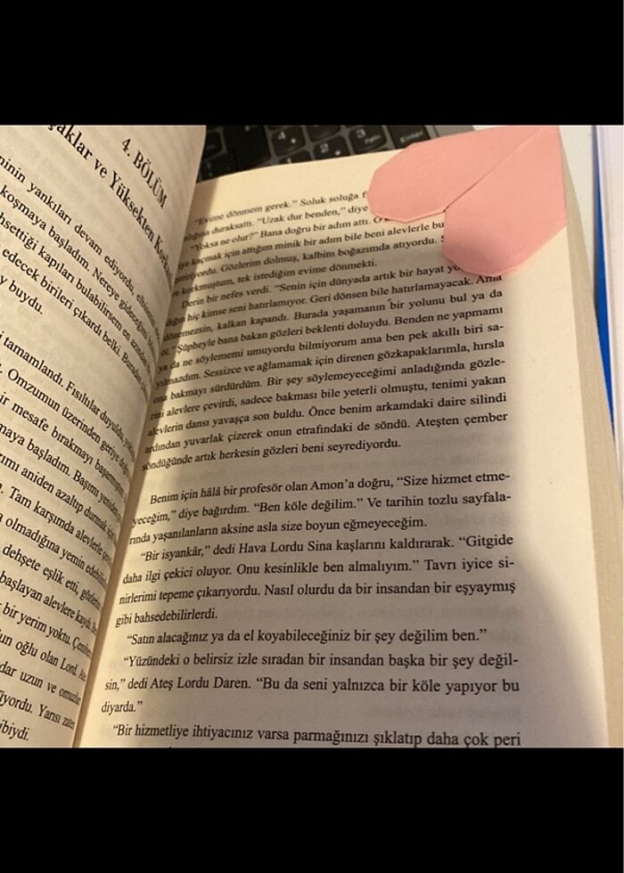 Lordlar ve varisler - Görsel 5