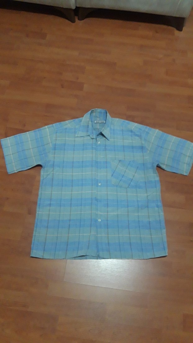 Erkek Mavi Kısa Kollu Pamuklu Gömlek - Görsel 2