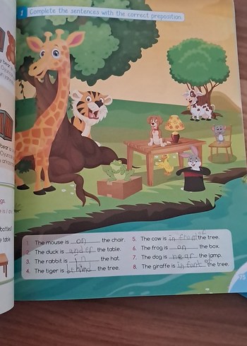 Cool English 4. Sınıf İngilizce Kitap Seti - Görsel 5