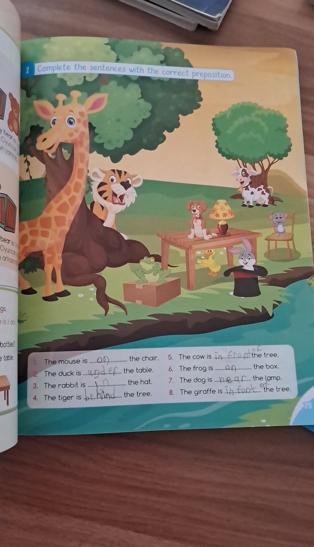 Cool English 4. Sınıf İngilizce Kitap Seti - Görsel 5