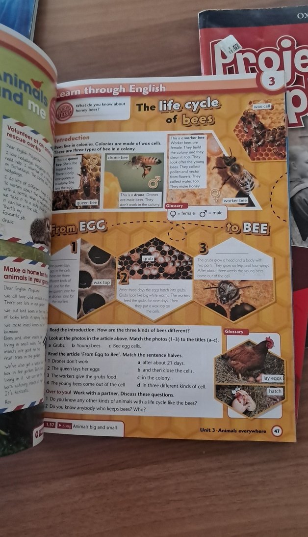 Oxford Project Explore 1 Set ve Ahead English Sözlük - Görsel 2