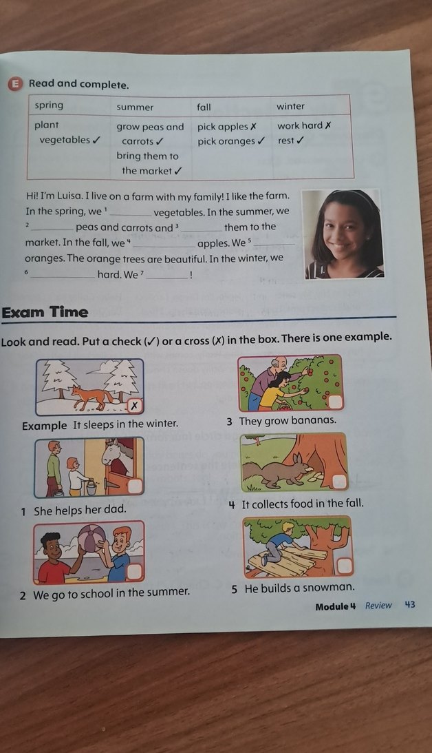 Oxford Discover Grammar 1 student book - Görsel 2