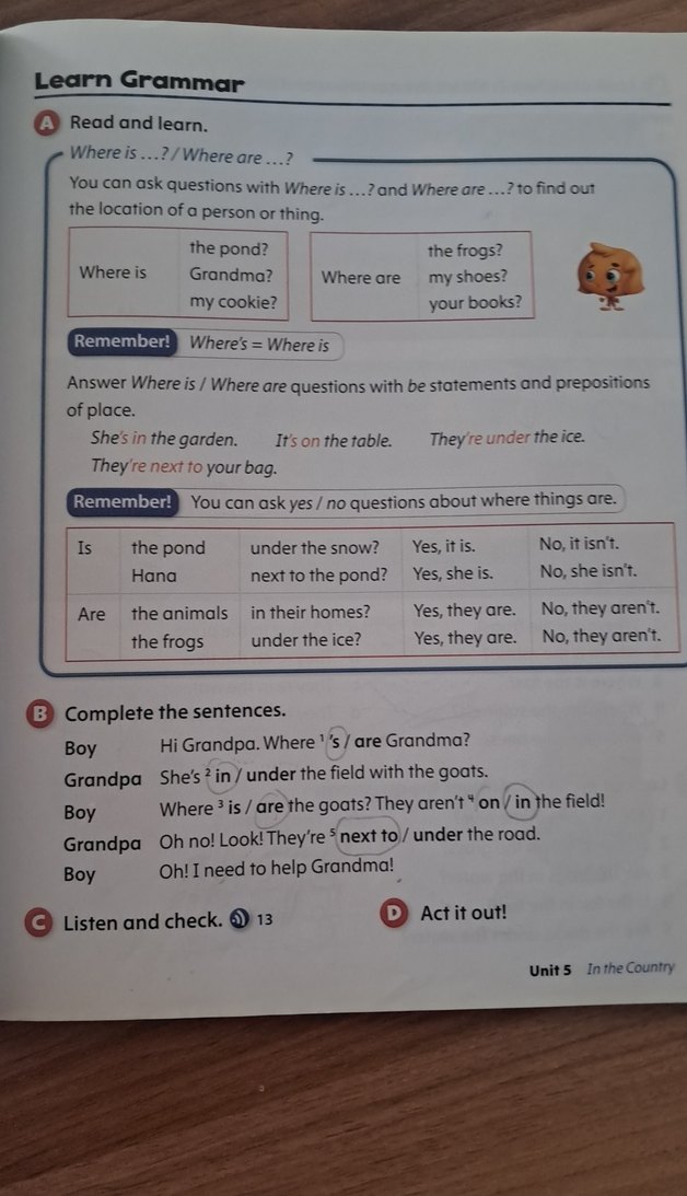 Oxford Discover Grammar 1 student book - Görsel 4
