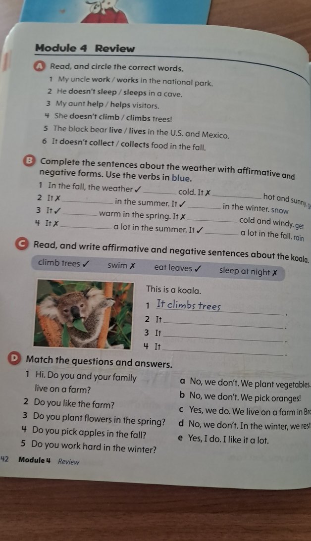 Oxford Discover Grammar 1 student book - Görsel 3