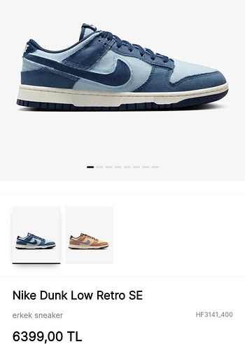 Nike Dunk Low Retro SE Erkek Sneakers