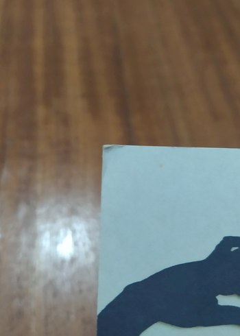 Beden Renk Kağıt İnsanlar - Salvador Plascencia