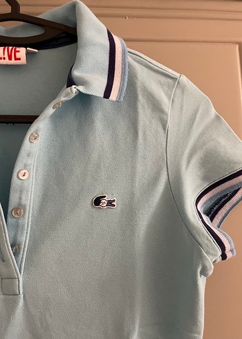 Lacoste Polo Yaka Tişört - Görsel 2