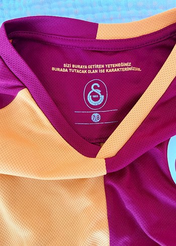 GS Store Gs Renkli V Yaka Spor Forma