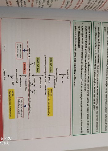 Biyokimya Modül Sınavlarına Hazırlık Kitabı