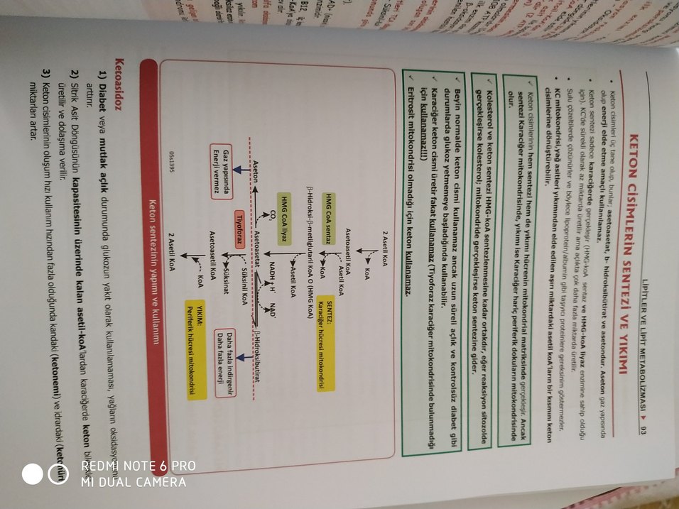 Biyokimya Modül Sınavlarına Hazırlık Kitabı - Görsel 3