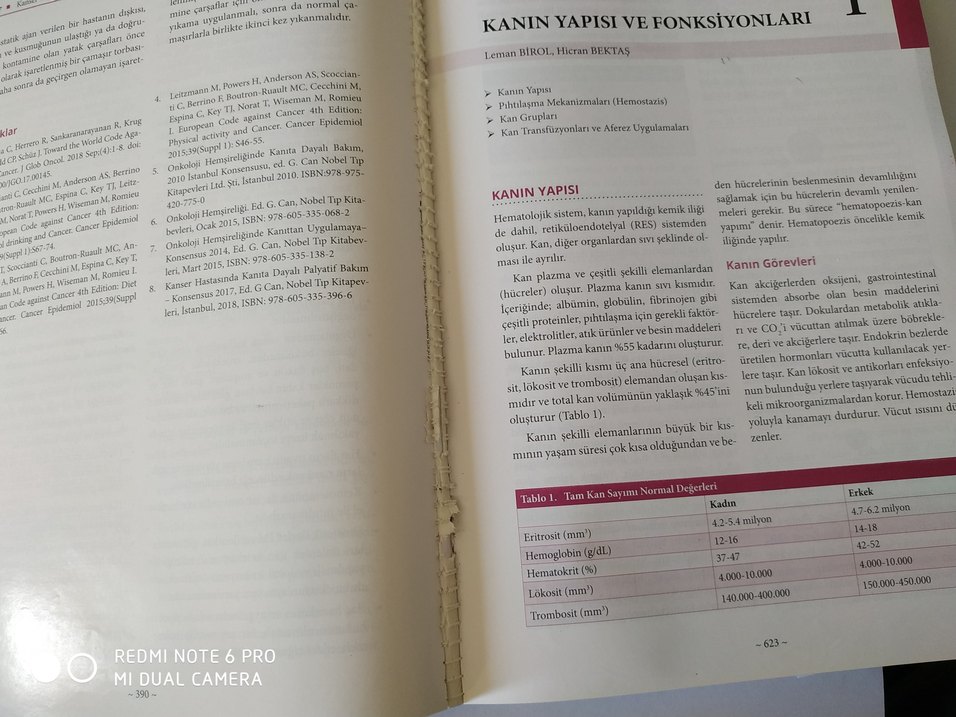 İç Hastalıkları ve Hemşirelik Bakımı Kitabı - Görsel 4