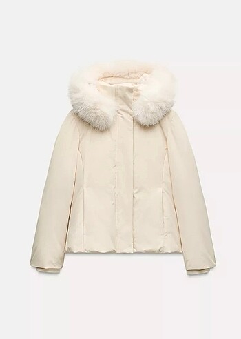 Zara mont