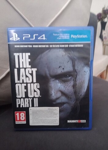 Beden The Last Of Us Part 2