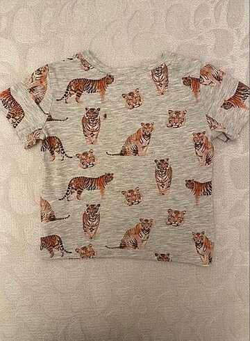 LC Waikiki Erkek çoçuk tshirt