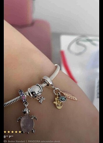 Pandora Pandora charm 