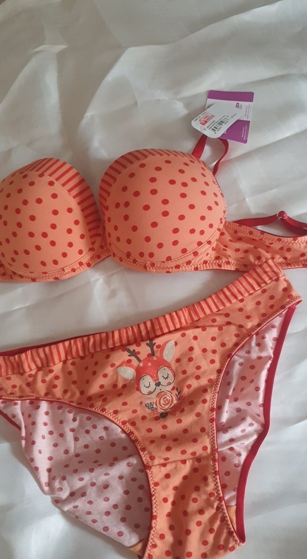 nbb kadın sutyen takımı - Görsel 2