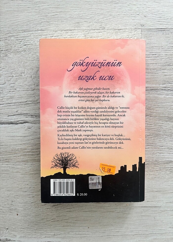 Gökyüzünün Uzak Ucu - Görsel 2