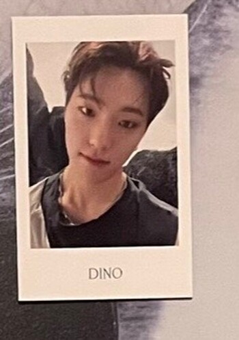 Seventeen fts weverse japan regular dino pob