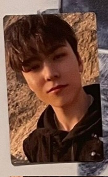 Seventeen fts weverse japan carver vernon pob