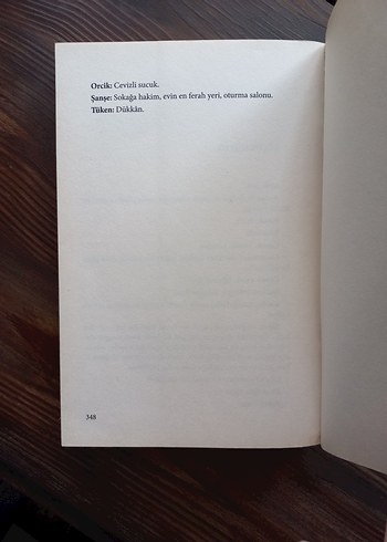 Sıdıka Hanım - Naşide Gökbudak - Görsel 6