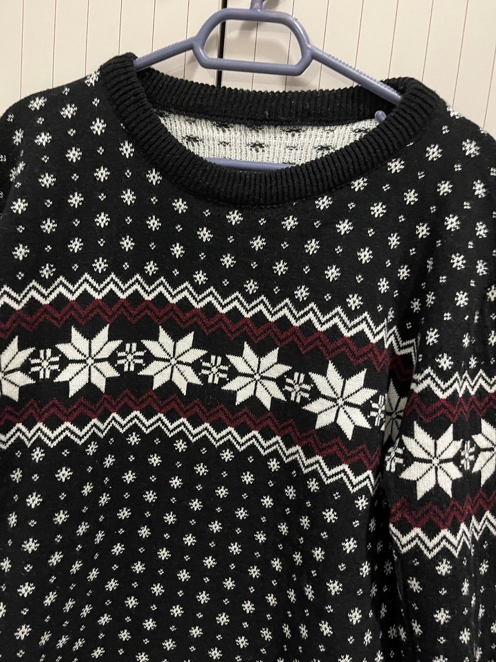 Erkek kazak - Görsel 3