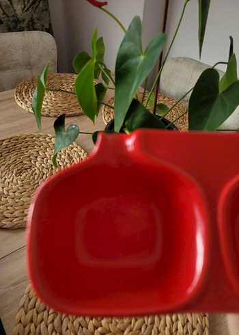 Kırmızı Üç Bölmeli Servis Tabağı - Görsel 3