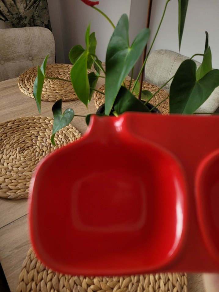 Kırmızı Üç Bölmeli Servis Tabağı - Görsel 3