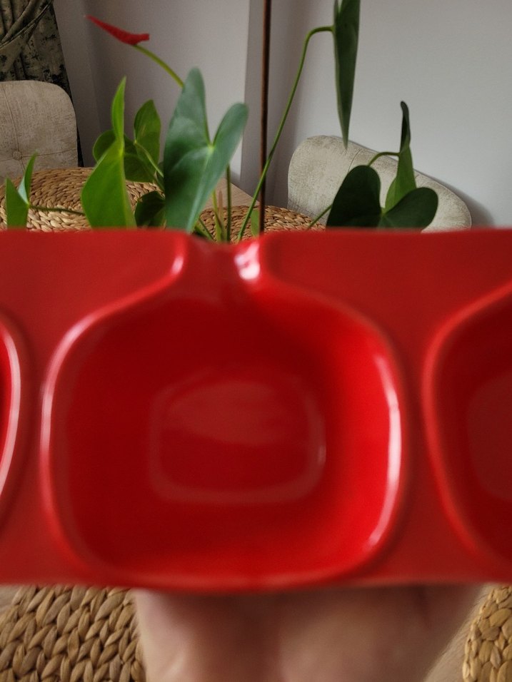 Kırmızı Üç Bölmeli Servis Tabağı - Görsel 4