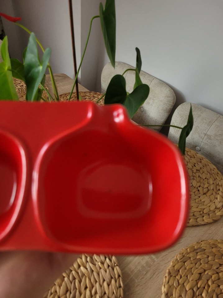 Kırmızı Üç Bölmeli Servis Tabağı - Görsel 5