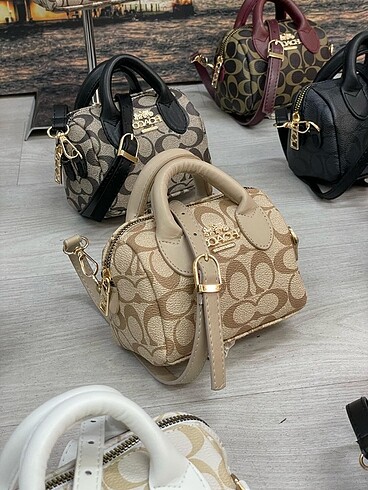 Coach mini