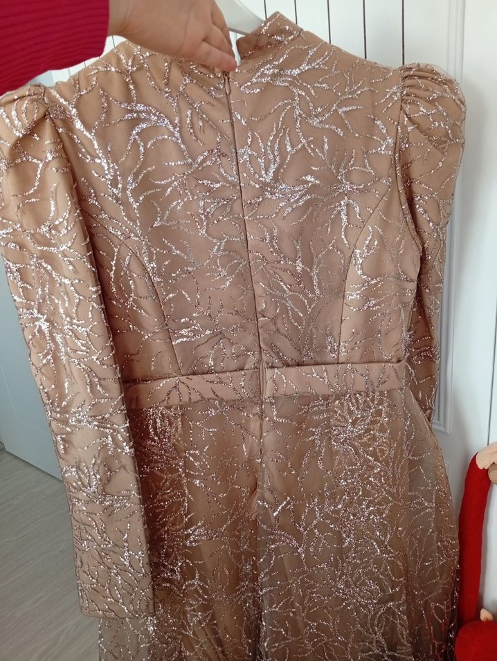 Detaylı Bej Uzun Abiye Elbise - Görsel 3