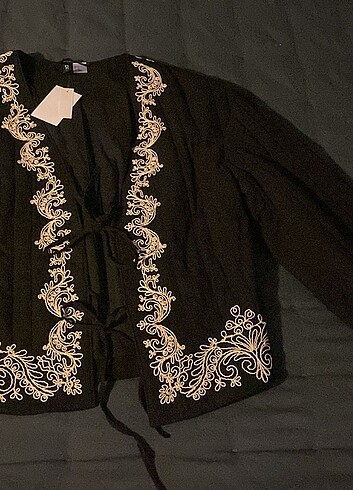 Zara Hm nakışlı ceket