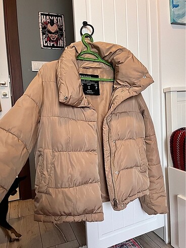 Stradivarius Mont