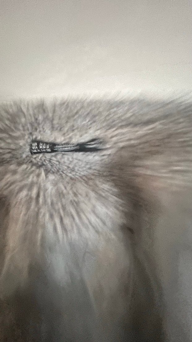 Gri Kürklü Kadın Kısa Mont - Görsel 2