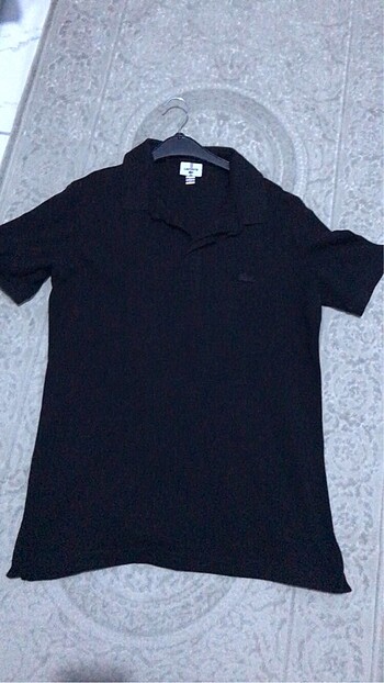 lacoste M beden polo yaka