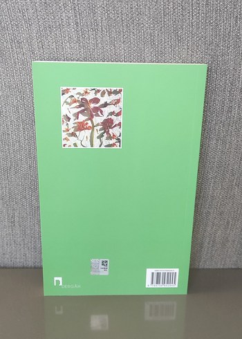 Akasya ve Mandolin - Mustafa Kutlu - Görsel 2