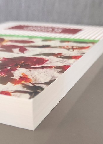 Akasya ve Mandolin - Mustafa Kutlu - Görsel 3