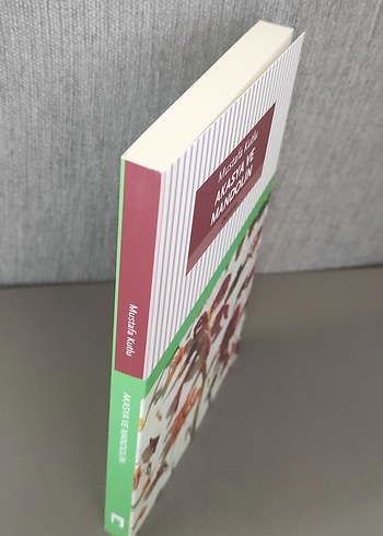 Akasya ve Mandolin - Mustafa Kutlu - Görsel 5