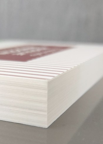 Akasya ve Mandolin - Mustafa Kutlu - Görsel 4