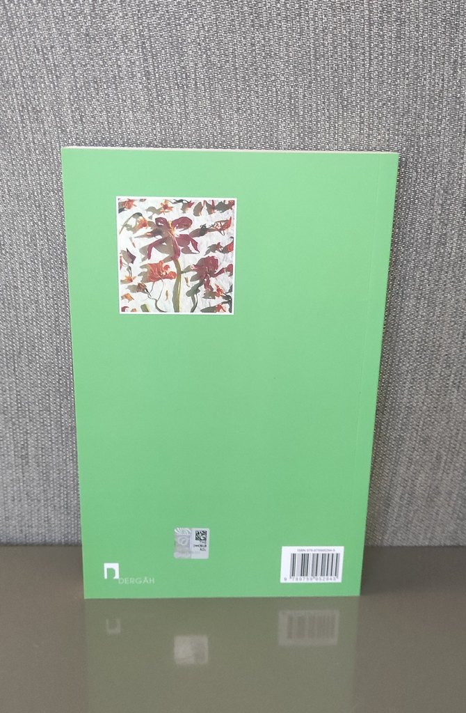 Akasya ve Mandolin - Mustafa Kutlu - Görsel 2