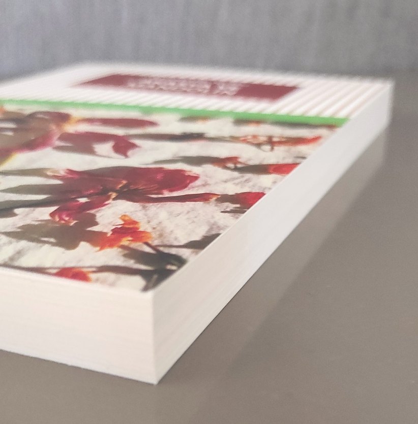 Akasya ve Mandolin - Mustafa Kutlu - Görsel 3