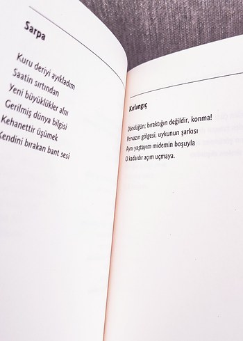 Şiir Kitapları Seti 3 Kitap SIFIR ÜRÜN - Görsel 6