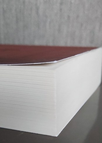 Safahat - Mehmed Akif Ersoy - Görsel 4